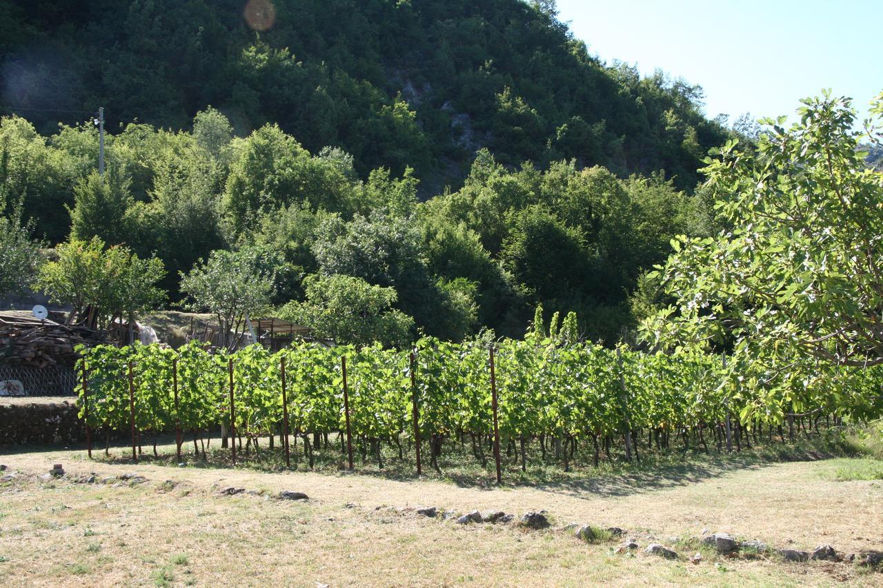 Vrzina Farm House Skadar Lake Virpazar Exterior photo