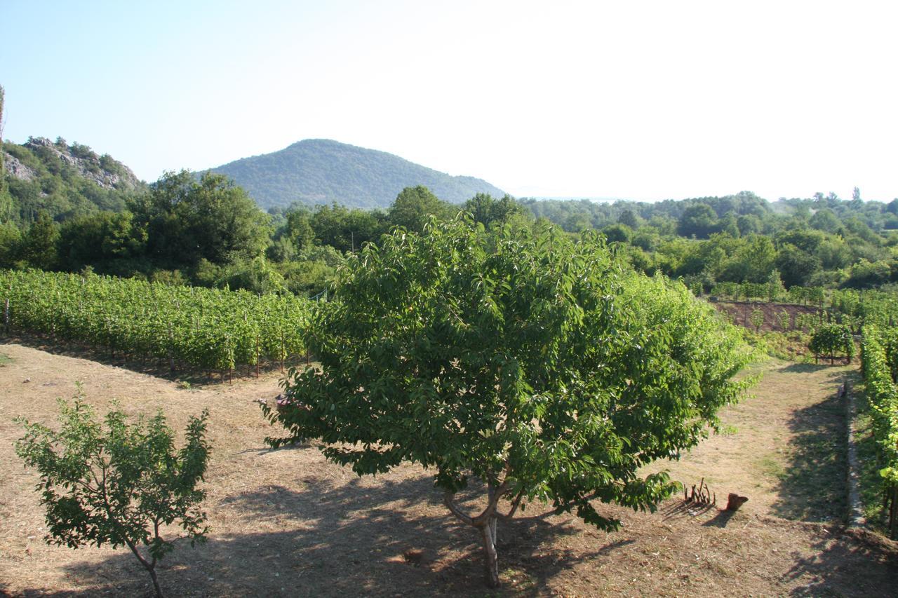 Vrzina Farm House Skadar Lake Virpazar Exterior photo